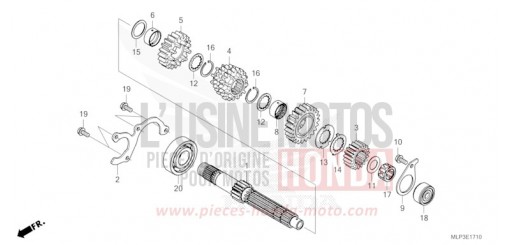 BOITE DE VITESSES (ARBRE SECONDAIRE) CL500AP de 2023